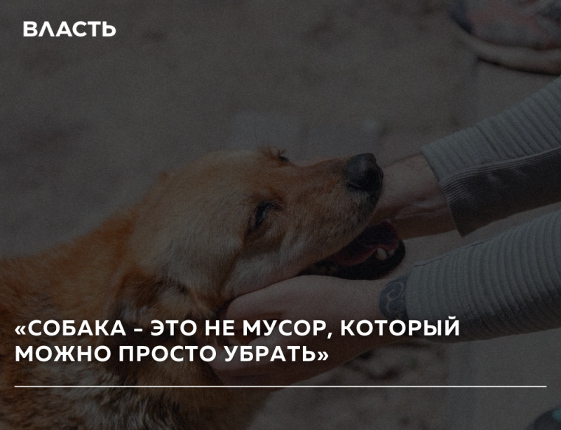 A light brown dog is being petted by two hands, one with a tattoo, with the text "ВЛАСТЬ" and "«СОБАКА - ЭТО НЕ МУСОР, КОТОРЫЙ МОЖНО ПРОСТО УБРАТЬ»" overlaid on the image.