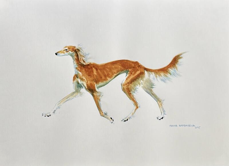 Акварельная картина рыжей собаки породы салюки в беге, с подписью "Marina Narbayeva 2023" в правом нижнем углу.