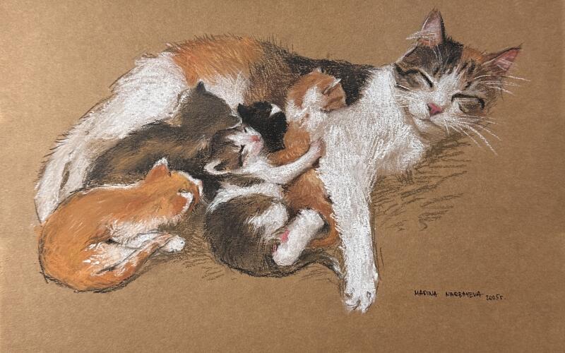 На рисунке изображена спящая кошка с разноцветной шерстью и ее котята на коричневом фоне. Кошка лежит на боку с закрытыми глазами, а котята сгрудились вокруг нее. Рисунок подписан "Madina Narbayeva 2023".