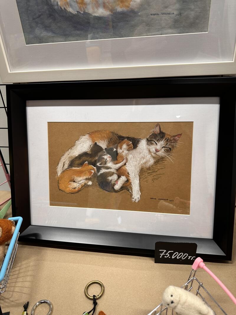 На рисунке в рамке изображена лежащая кошка со своими котятами, а также ценник с надписью «75.000 ₸».